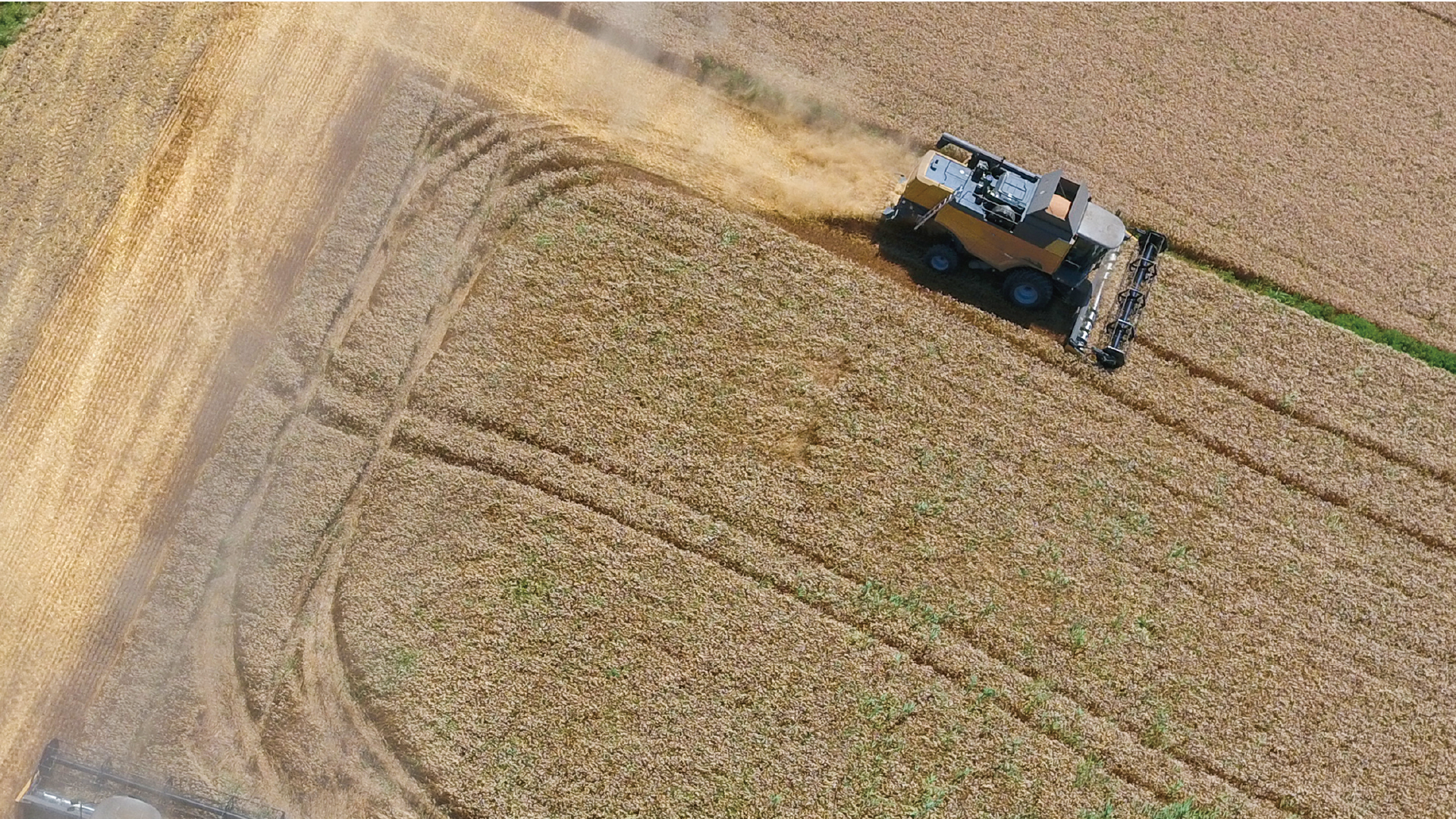 Kombájn aratás közben, precíziós irányítással